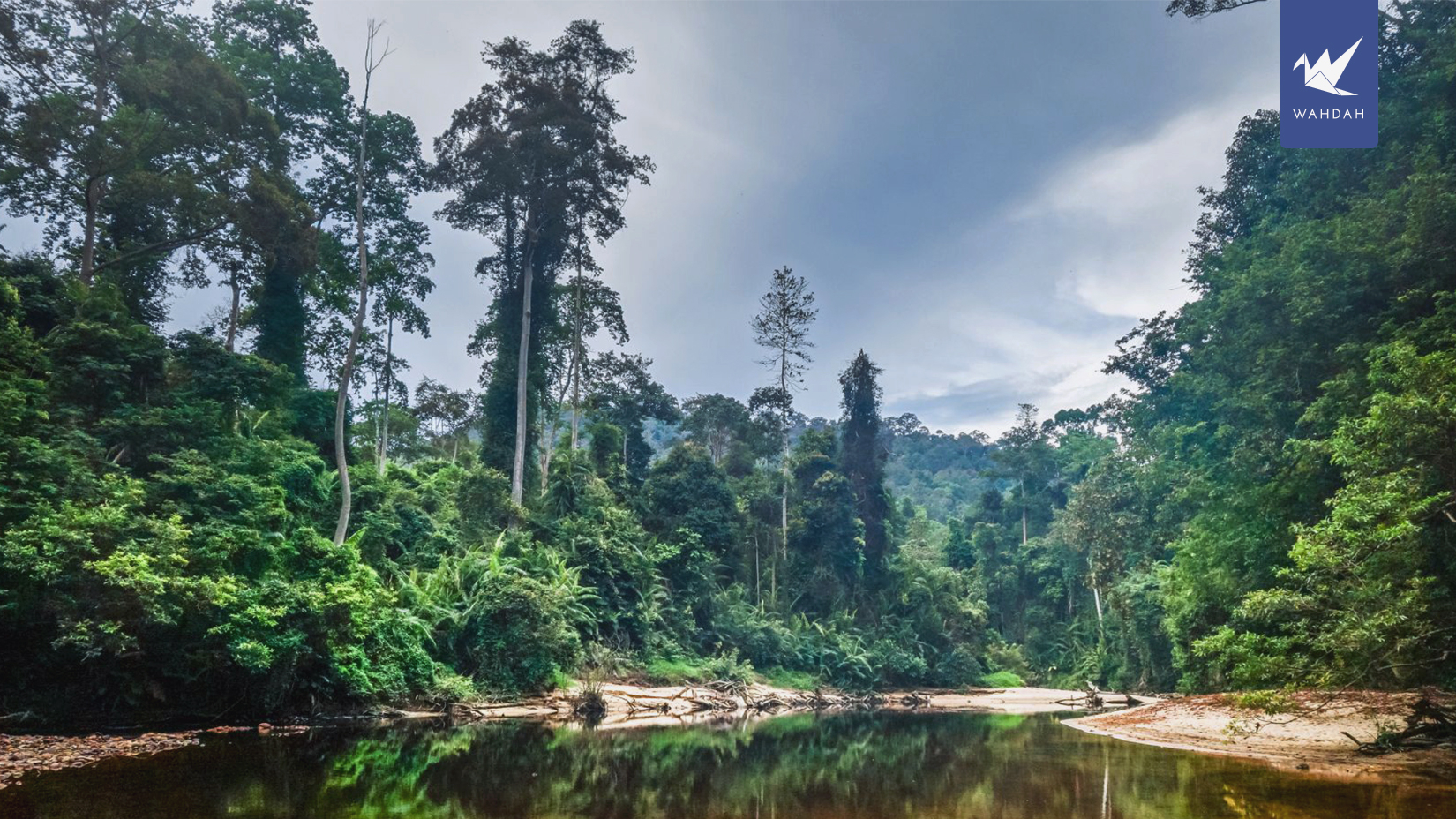 14 Fun Activities to Do in Taman Negara, Malaysia 